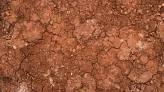 Mechanochemische Aktivierung