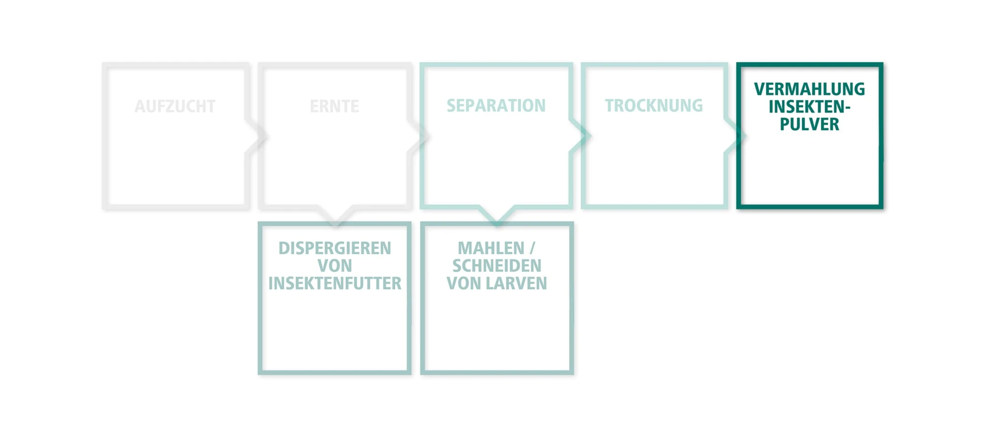 Vermahlung von Insektenpulver