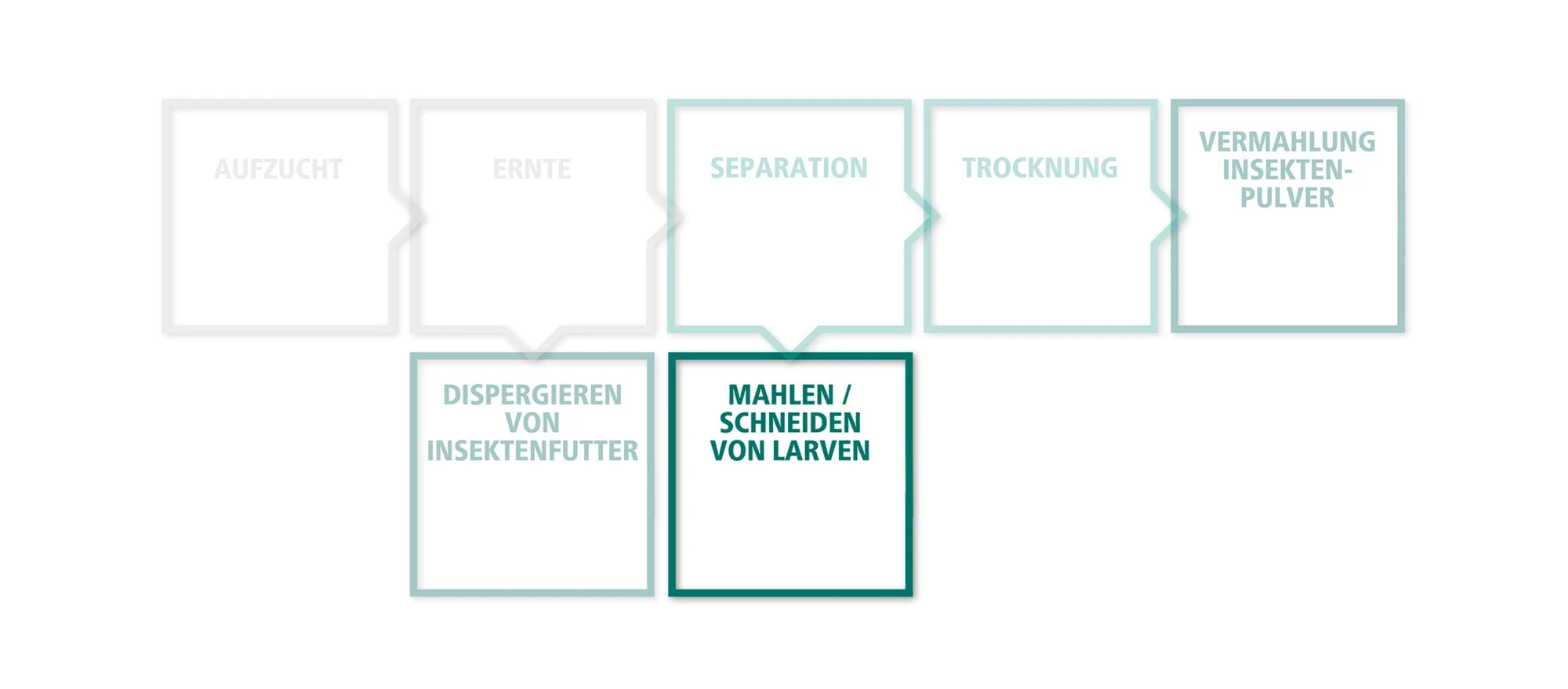 Mahlen / Schneiden von Larven