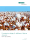 Process technologies for cellulose and cellulose derivatives