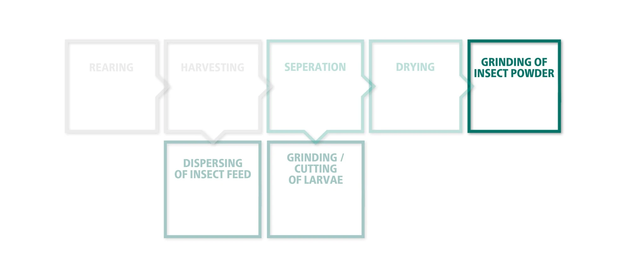 Processus de broyage de la poudre d'insecte