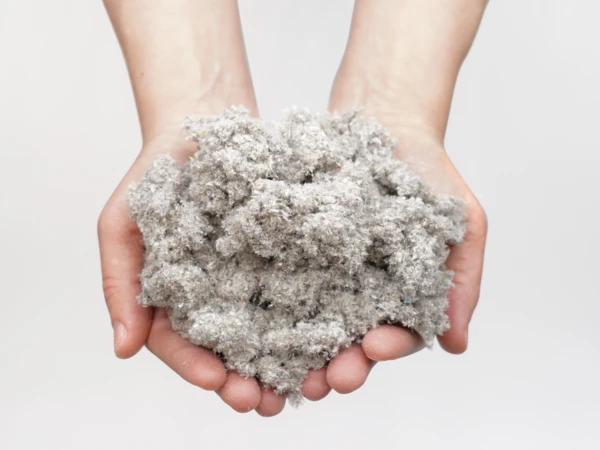Cellulose / Zellstoff 