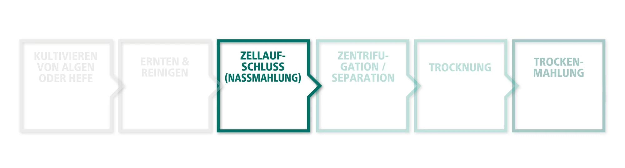 Zellaufschluss (Nassmahlung) Prozess