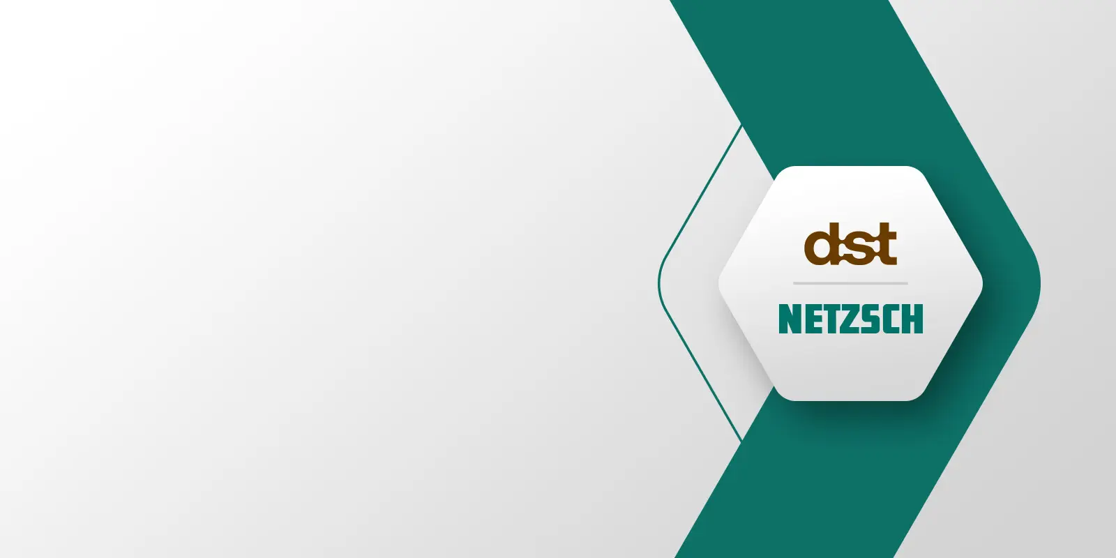 Hexagon logo combining dst and NETZSCH brands symbolizing strategic partnership in protein structuring and food processing innovation.