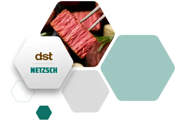 Hexagonal design featuring DST and NETZSCH logos with a chopstick-held piece of fibrous textured protein meat.
