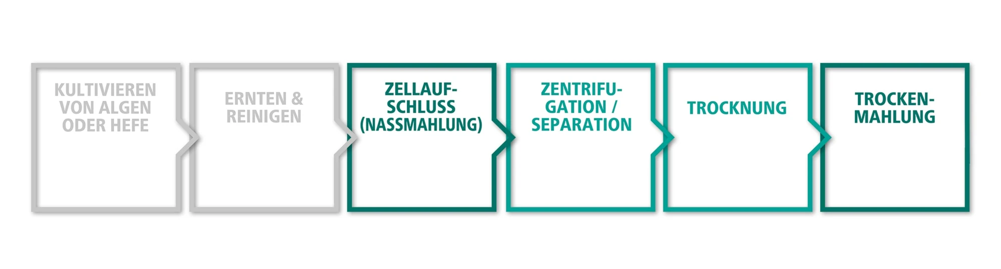 Zellaufschluss Prozess