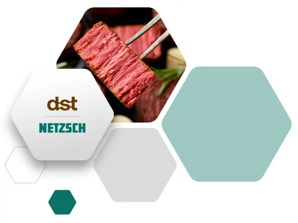 Red textured plant-based protein held with chopsticks showcasing DST and NETZSCH logos for alternative protein innovation.
